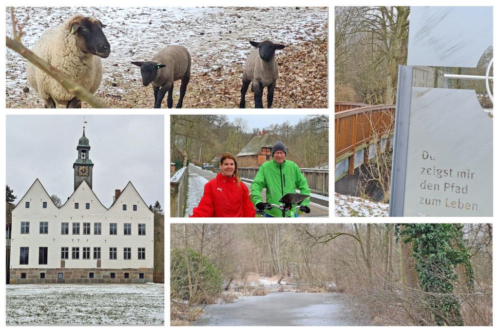 Kloster Nütschau - Bild