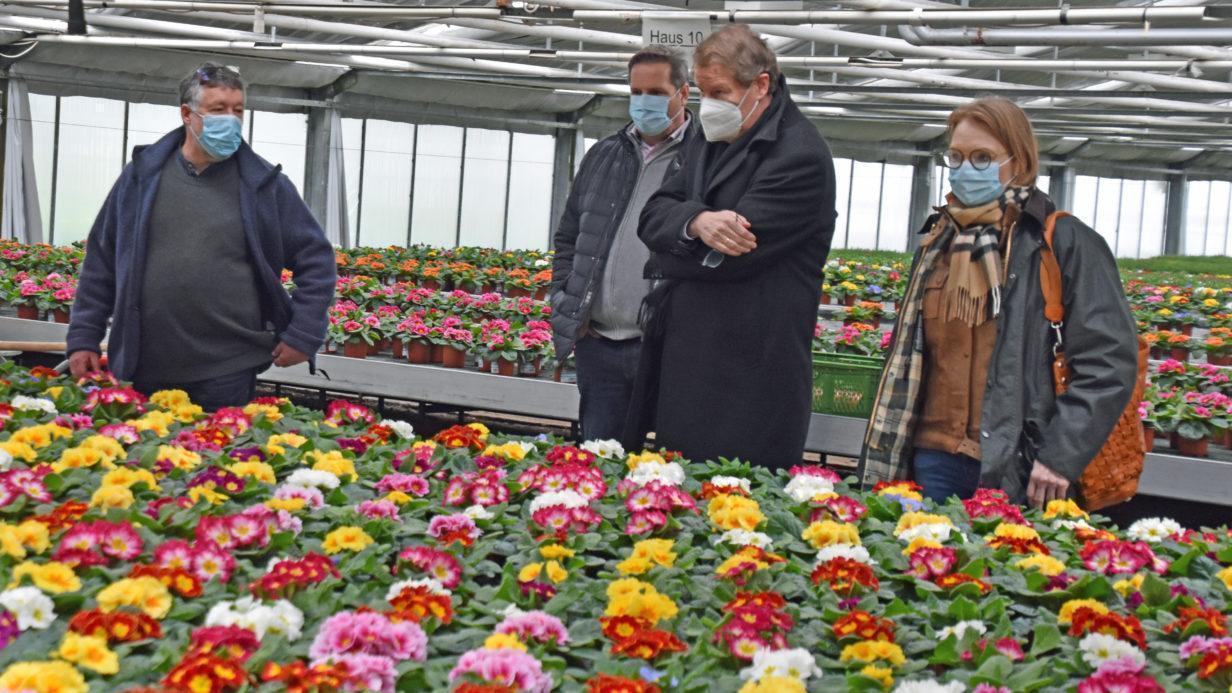 Bundestagsabgeordnete beim Gartenbau-Produktionsbetrieb Edert - Bild