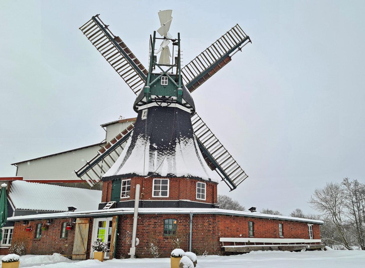 Götzberger Mühle lohnt nicht nur am Mühlentag - Bild